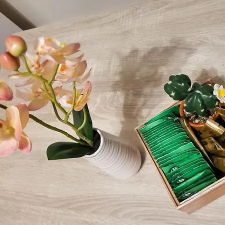 Le Bloom - Lumiere & Douceur - Gare & Centre-ville *