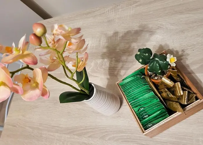 Le Bloom - Wifi - Proche Cathedrale & Gare *